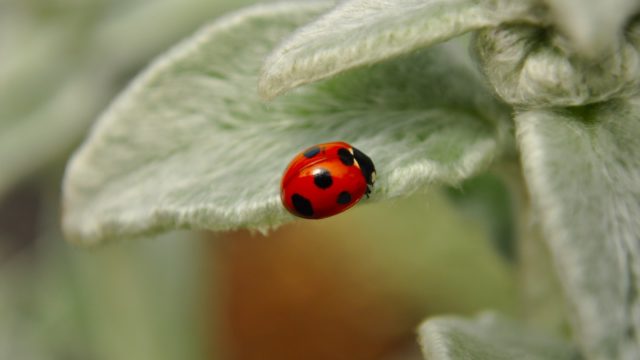 【子供に学ぶ】行動する人としない人の違いは成功体験の有無だけ