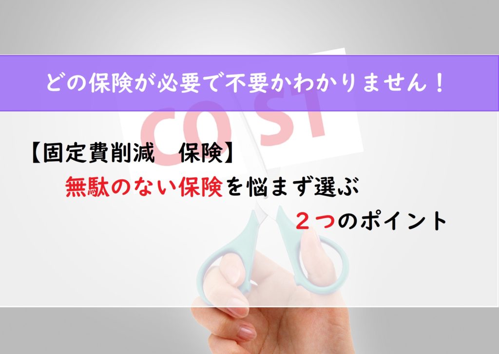 【固定費削減　保険】無駄のない保険を悩まず選ぶ　２つのポイント