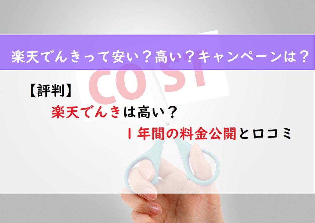 【評判】楽天でんきは高い？１年間の料金公開と口コミ