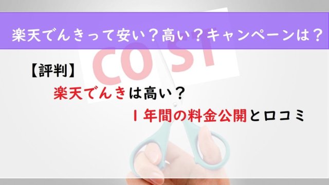 【評判】楽天でんきは高い？１年間の料金公開と口コミ