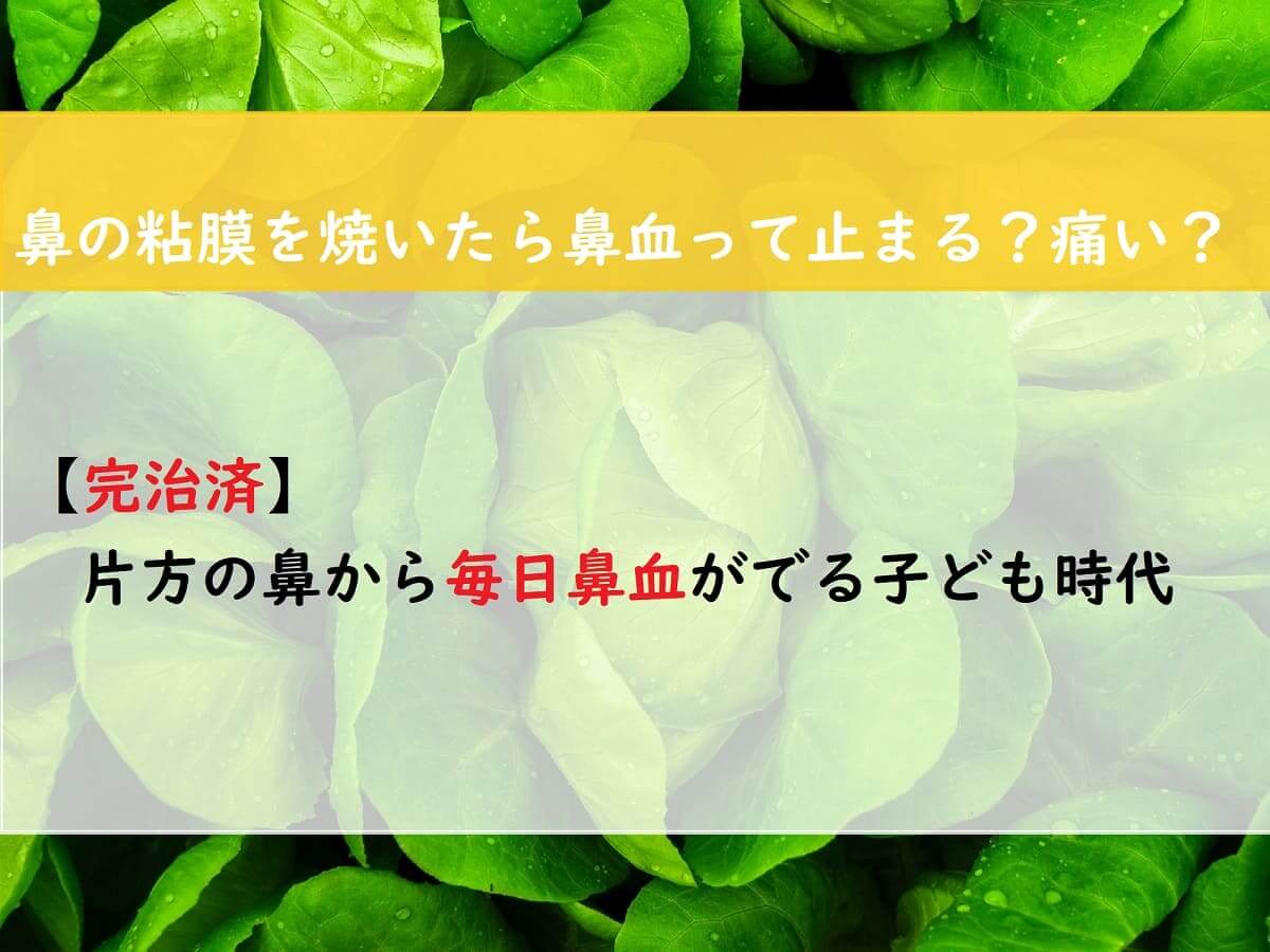鼻血 毎日 片方 鼻血がよく出る 止まらない原因は病気 病院に行ったほうがよい鼻血とは Amp Petmd Com