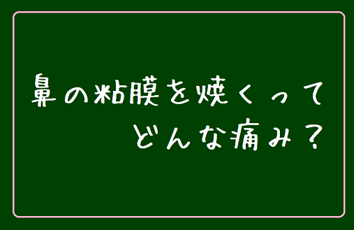 完治済 片方の鼻から毎日鼻血がでる子ども時代 めんどくさいから楽になる生き方 主婦ブログ