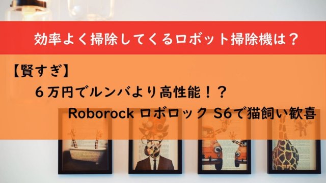 【賢すぎ】６万円でルンバより高性能！？Roborock ロボロック S6で猫飼い歓喜